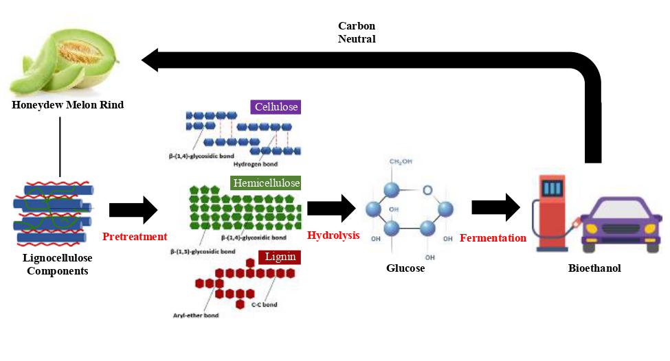 Graphical Abstract