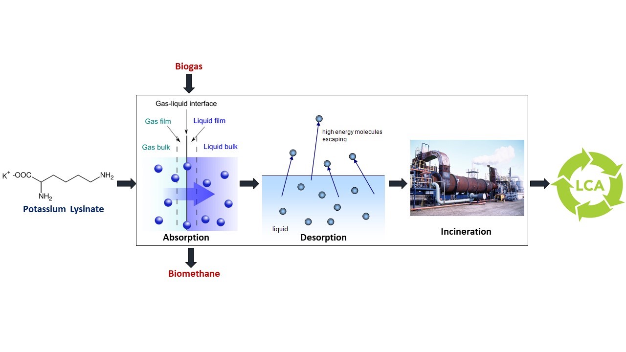 Graphical abstract