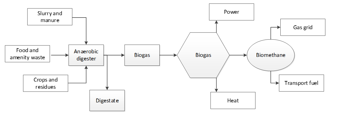 Graphical abstract