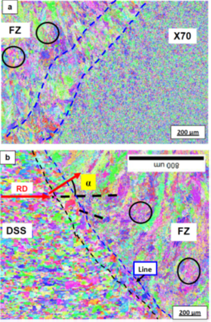 Cover image of Boumerzoug et al.