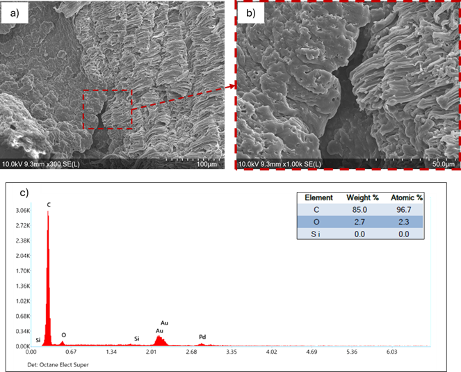 FESEM images and EDX